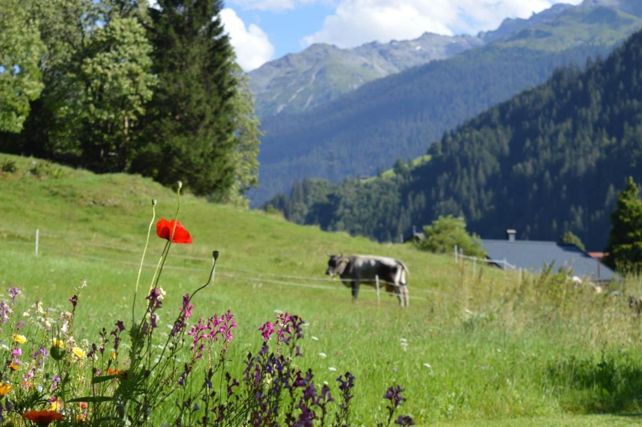Alpenherz Apartments Sankt Gallenkirch Eksteriør billede